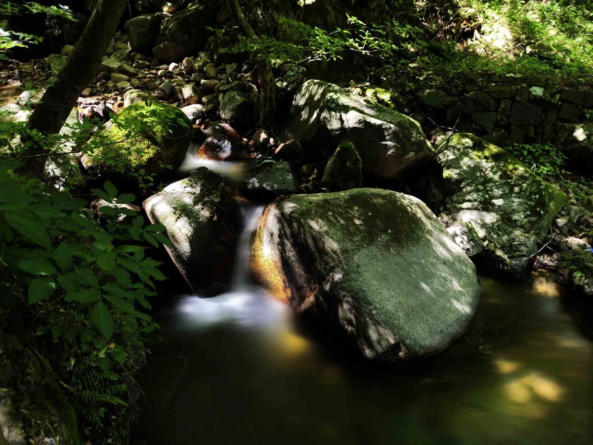 浙江............安吉浙北大峡谷