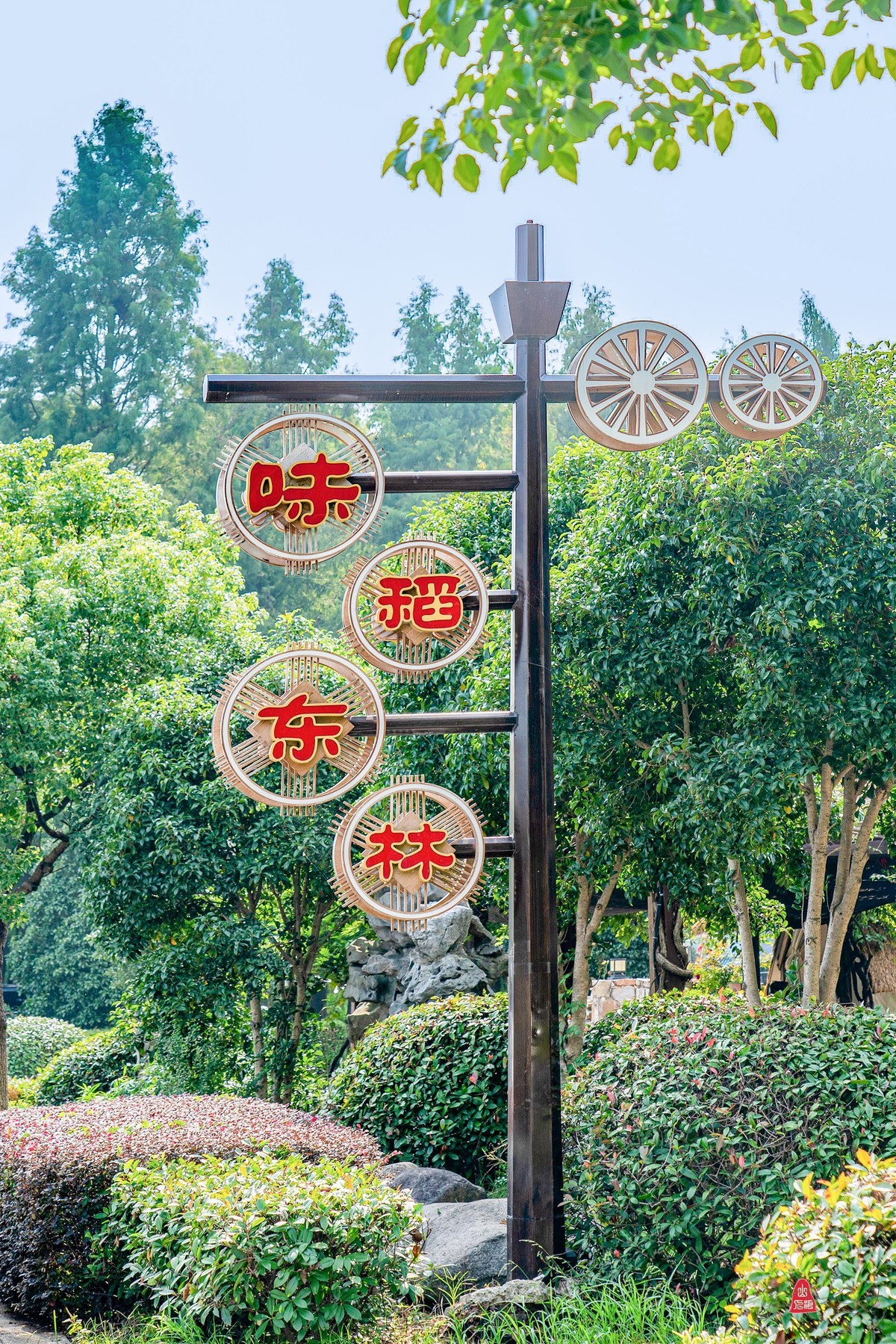 金色的稻田，丰收在望