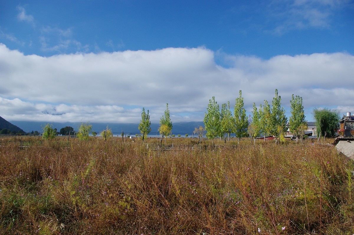 泸沽湖