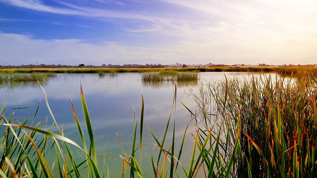 一组湿地风光-中关村在线摄影论坛