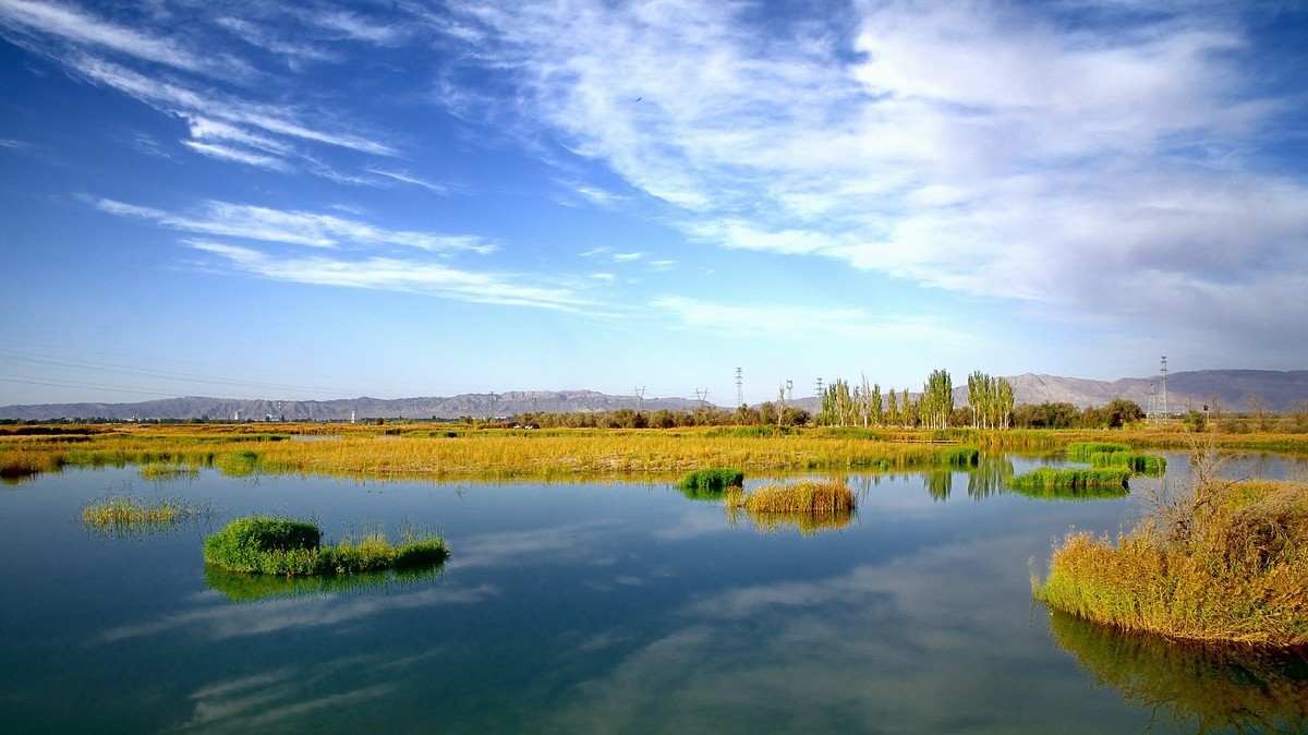 一组湿地风光-中关村在线摄影论坛
