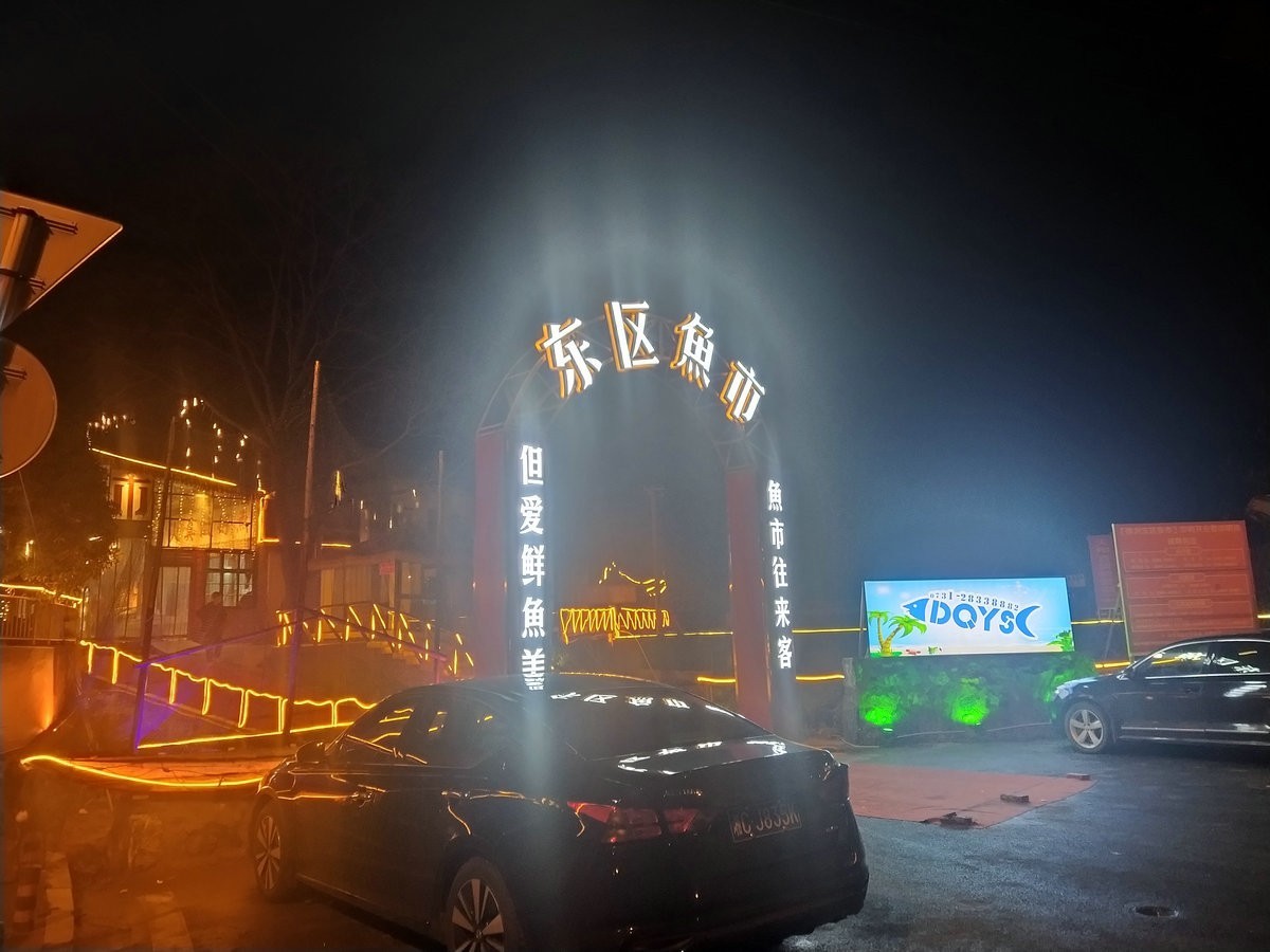 漫步星城 走街串巷（358）东区鱼市