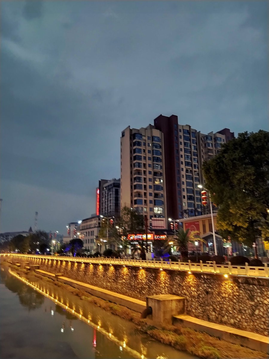 漫步星城 走街串巷（358）东区鱼市