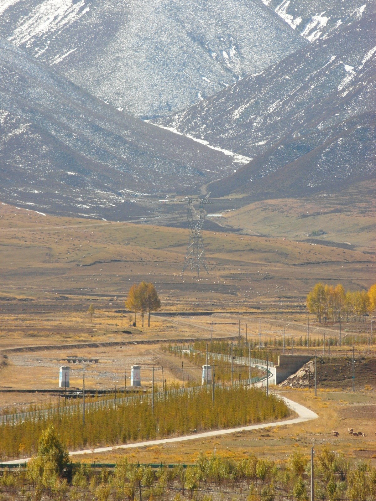 雪山脚下是我可爱的家乡