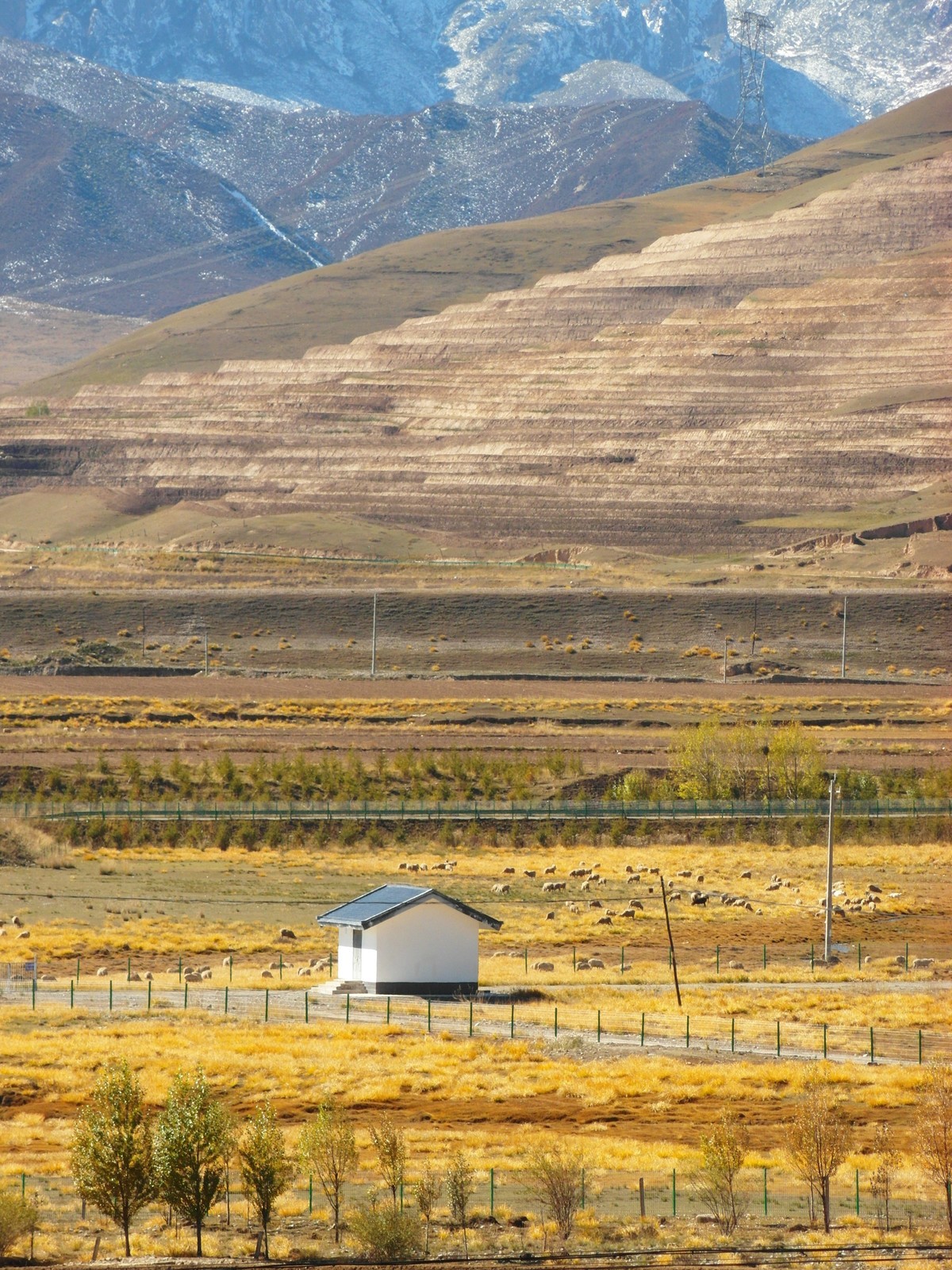 雪山脚下是我可爱的家乡