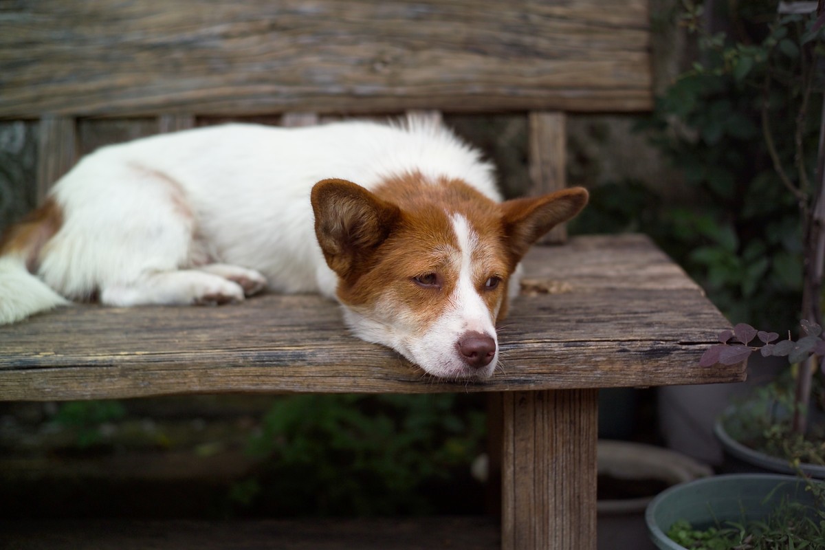 群友们国庆节快乐