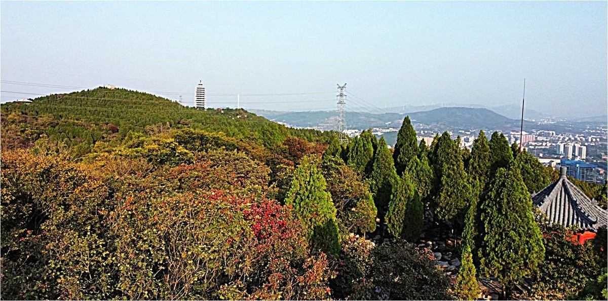 齐长城下红叶烂漫