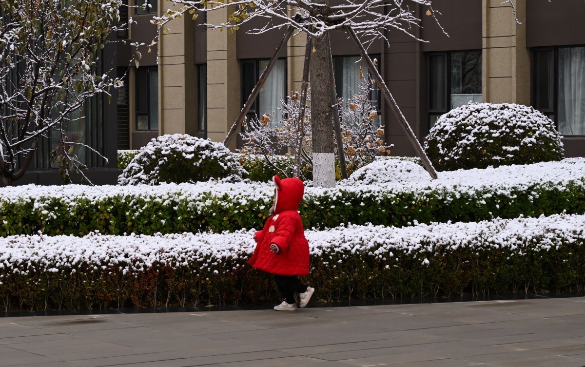 大连初冬第一场雪后随拍