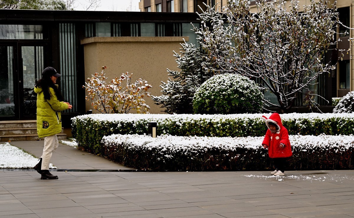 大连初冬第一场雪后随拍