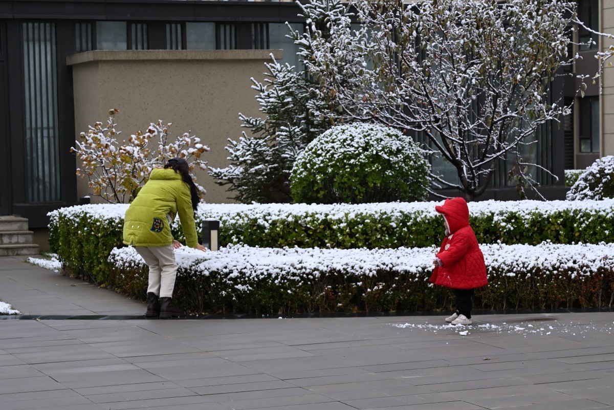 大连初冬第一场雪后随拍