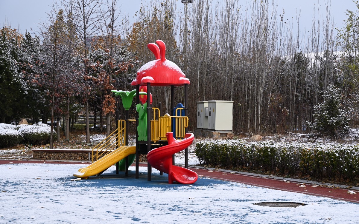 大连初冬第一场雪后随拍