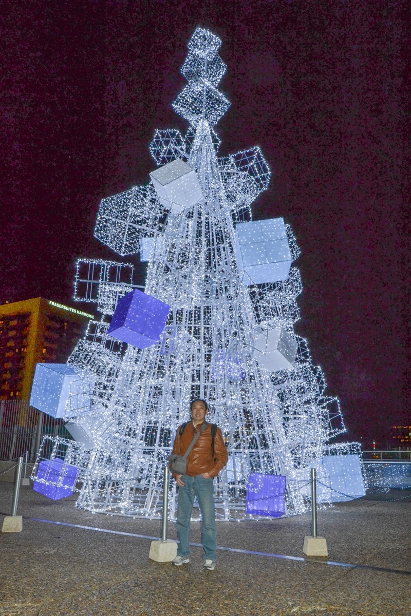 夜摄“新凯旋门”（巴黎）--祝师友除夕安好！！！
