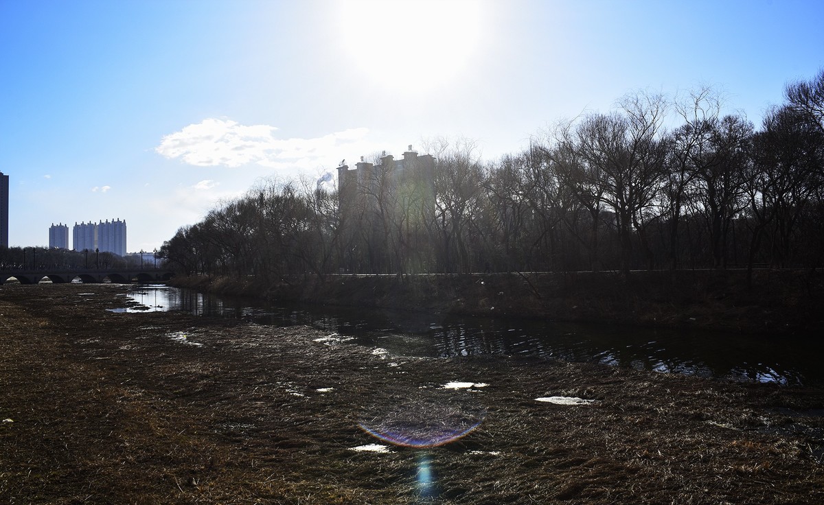 三一八公园  初春