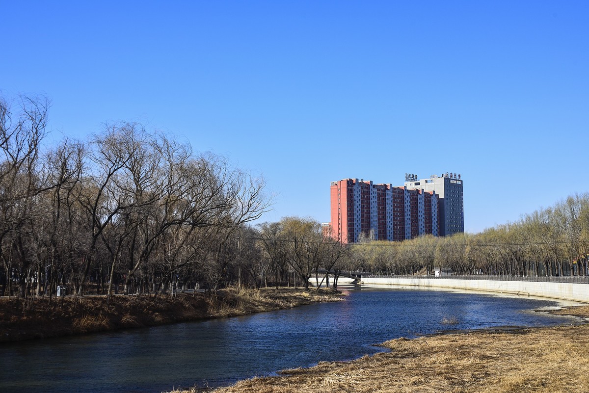 三一八公园  初春