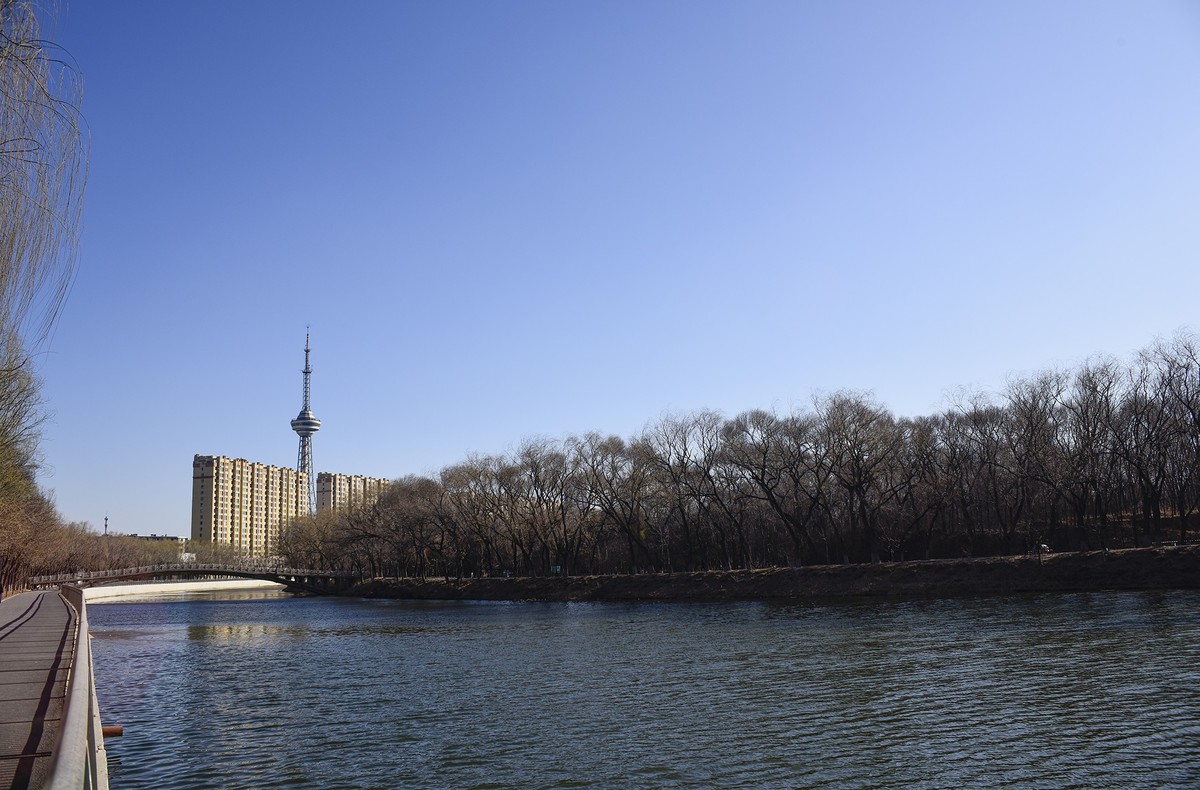 三一八公园  初春