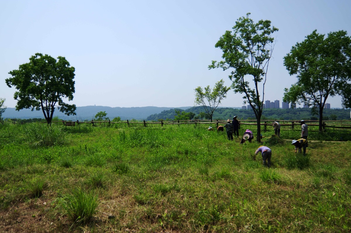 峡口镇生态农场