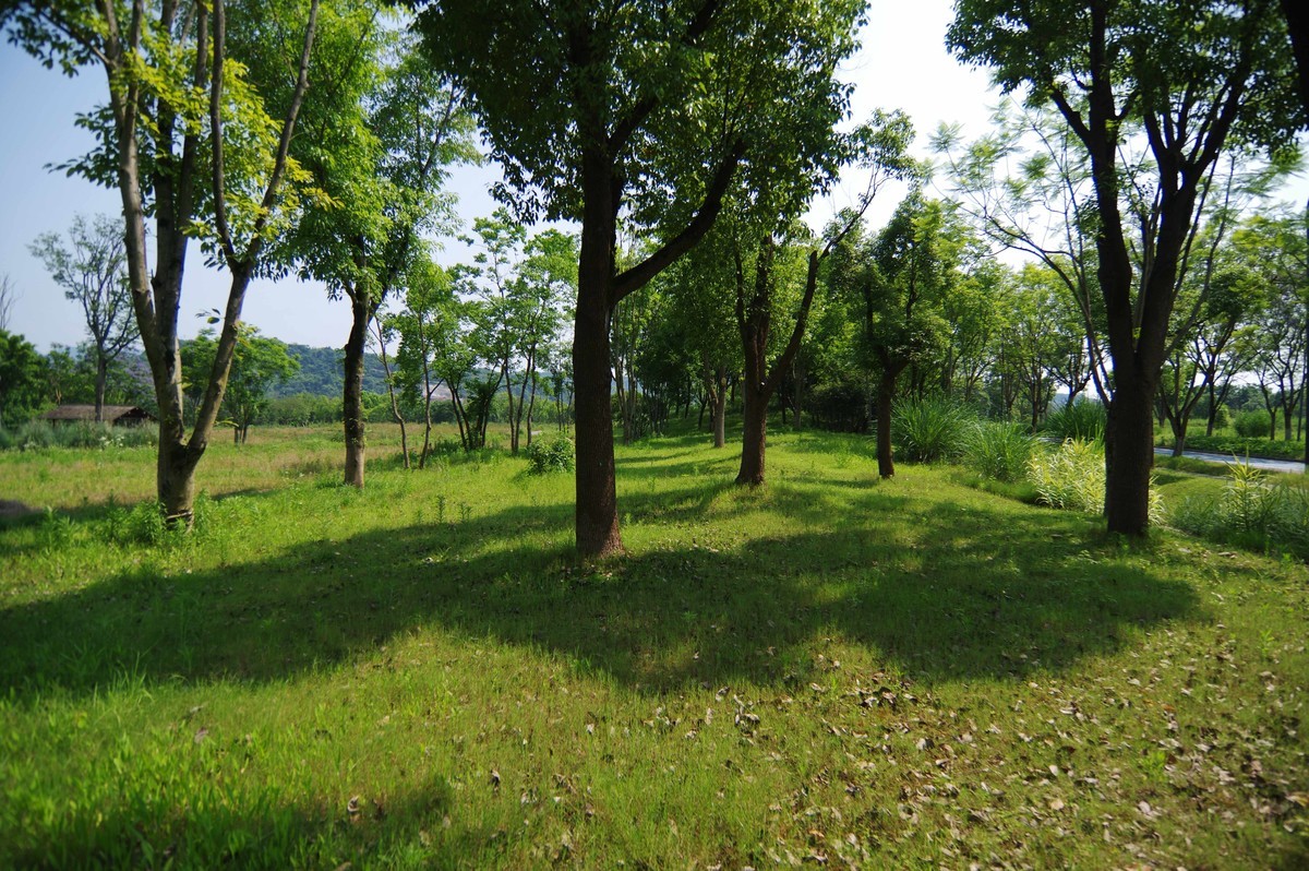 峡口镇生态农场