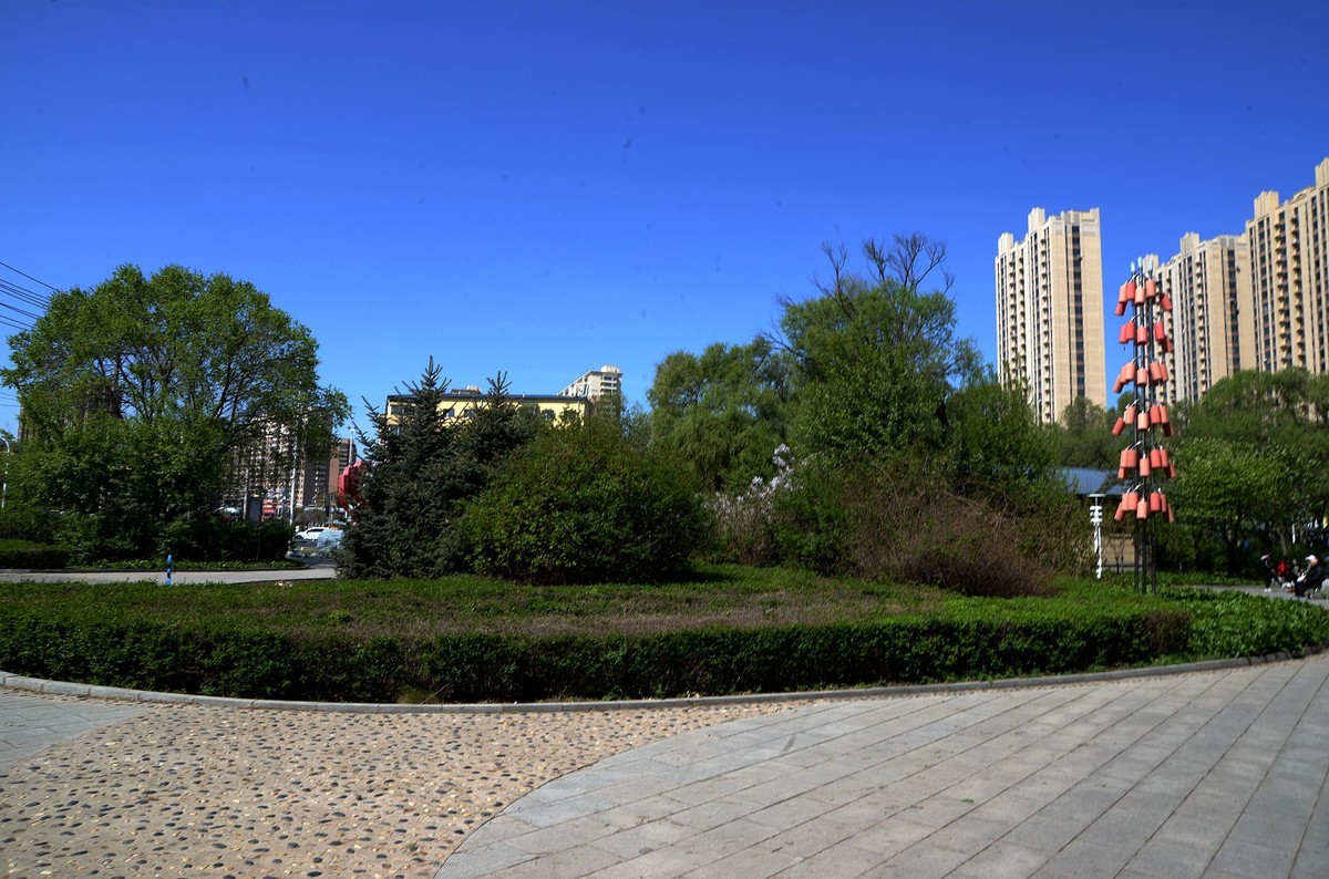  Spring Scenery of Yangming Park (3)