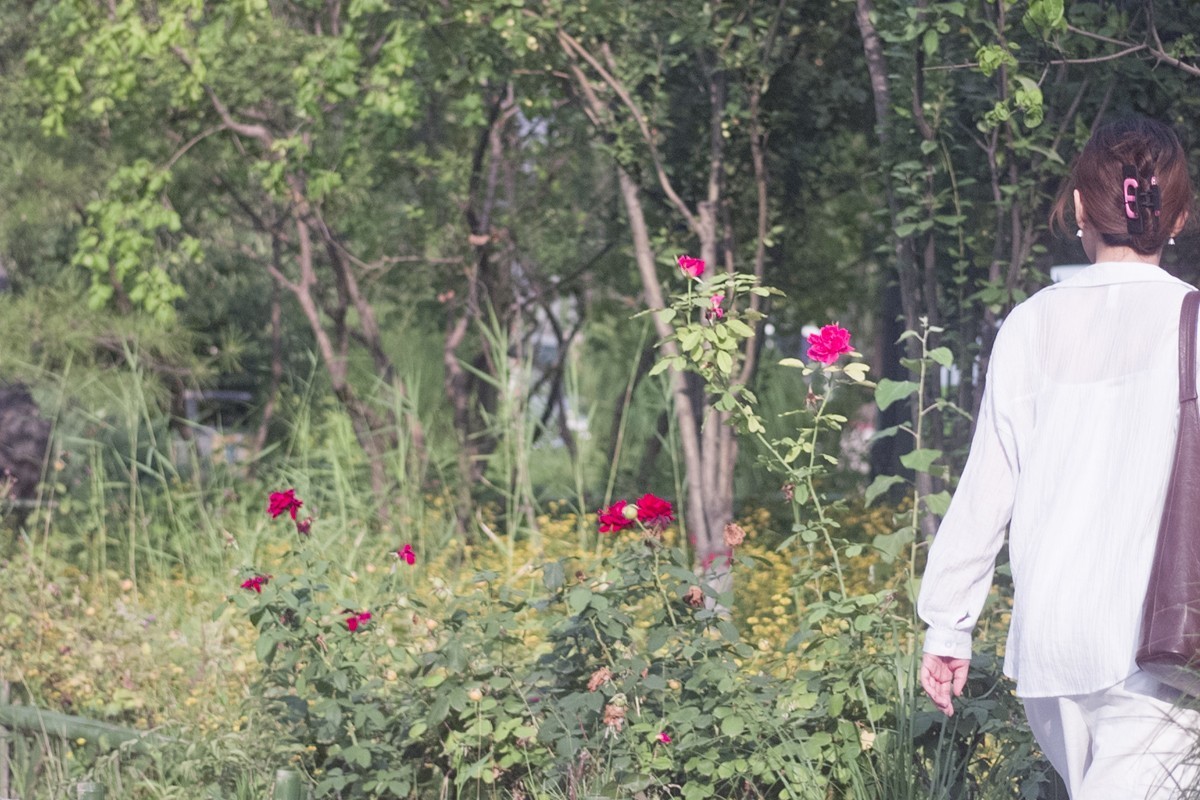 太原市文瀛公园掠影之一