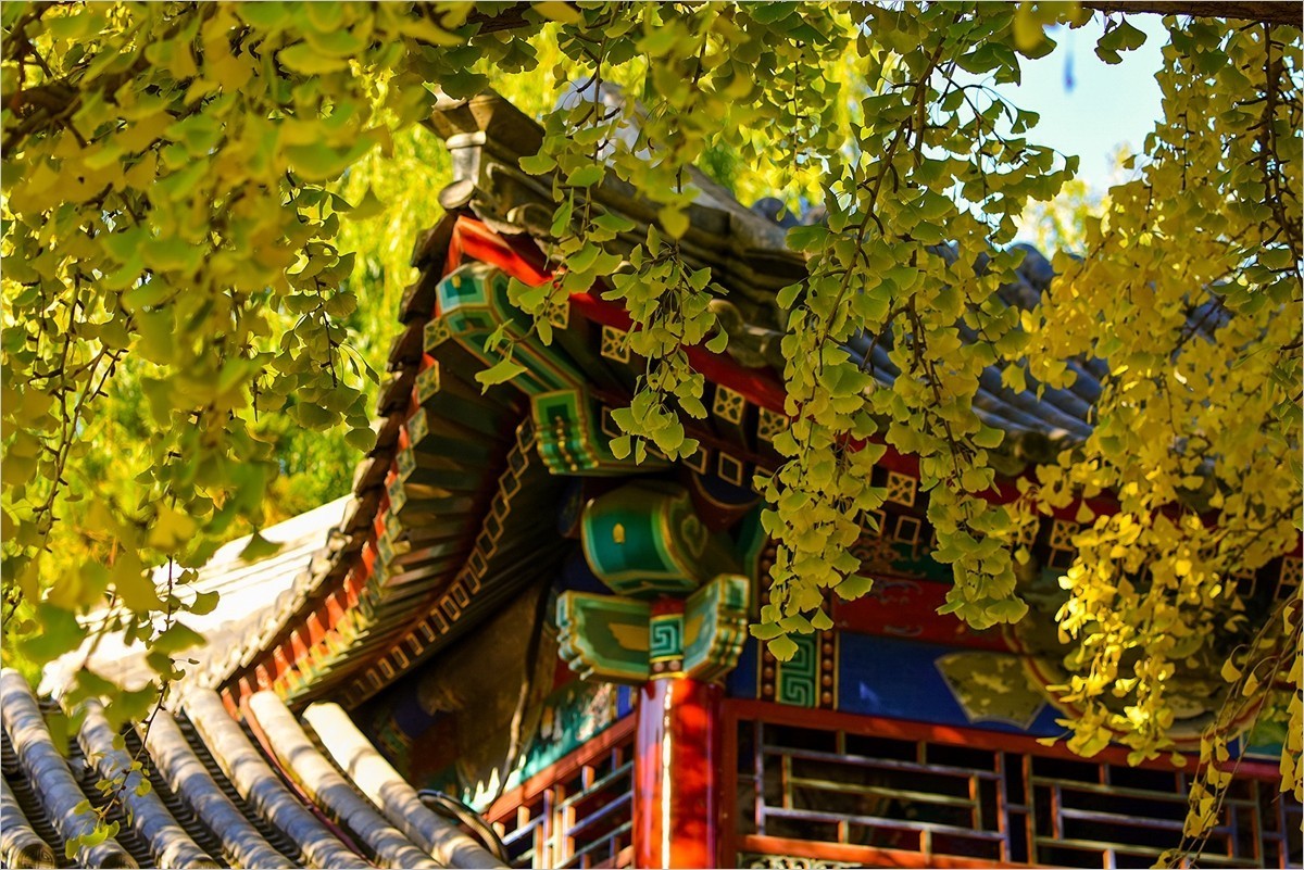 2024年第0780贴-中山公园纪实游拍（1018）