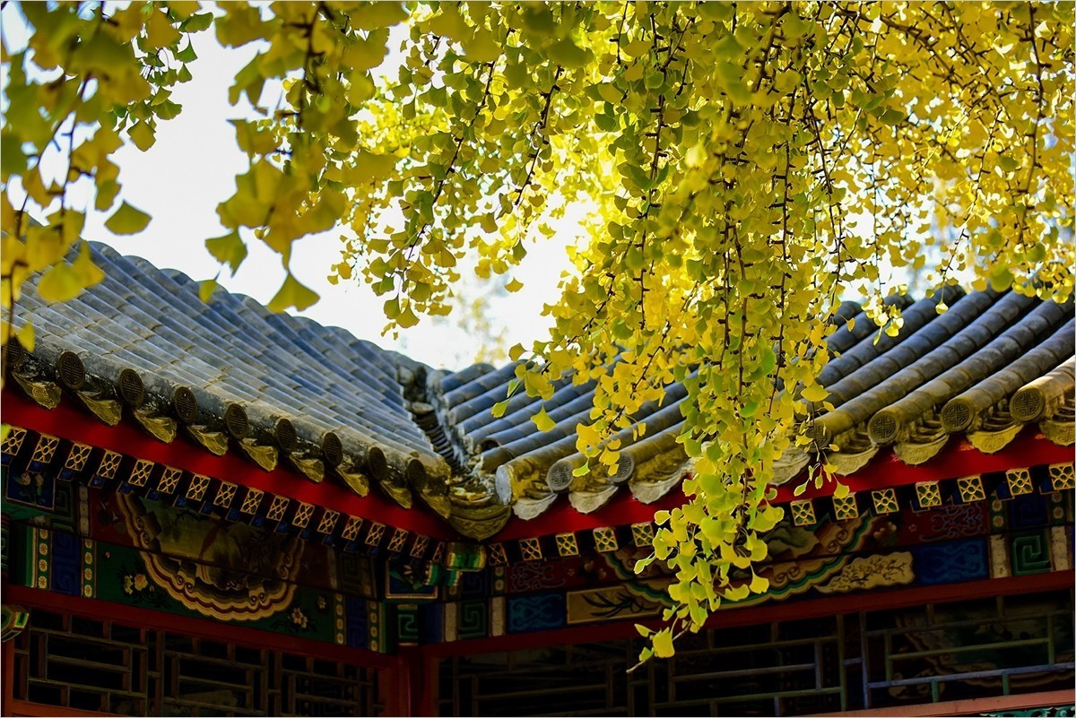 2024年第0780贴-中山公园纪实游拍（1018）