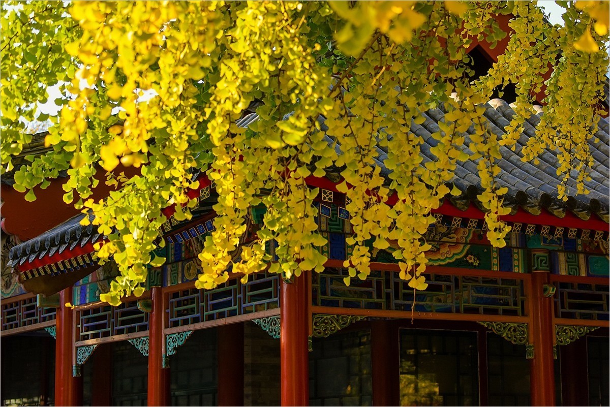 2024年第0780贴-中山公园纪实游拍（1018）