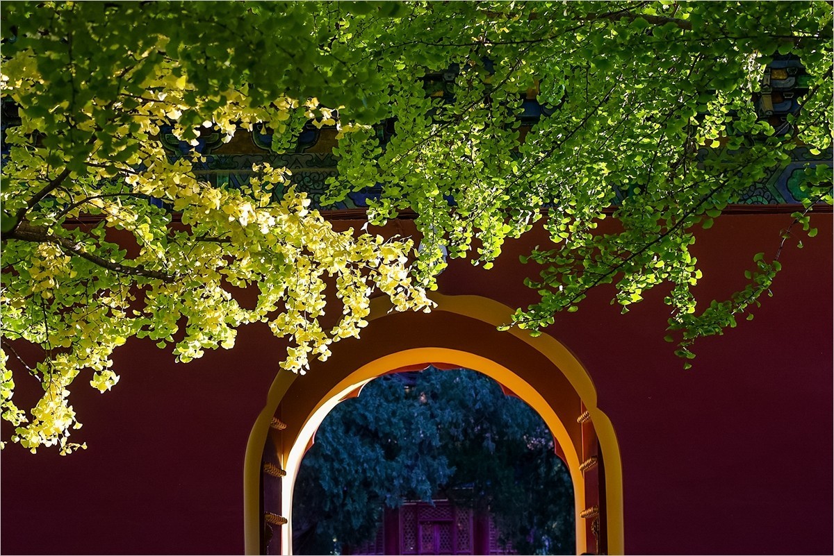 2024年第0780贴-中山公园纪实游拍（1018）