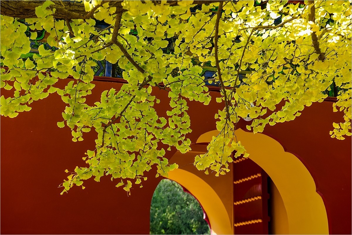 2024年第0780贴-中山公园纪实游拍（1018）