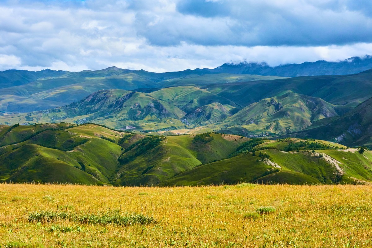 夏末秋初的八美