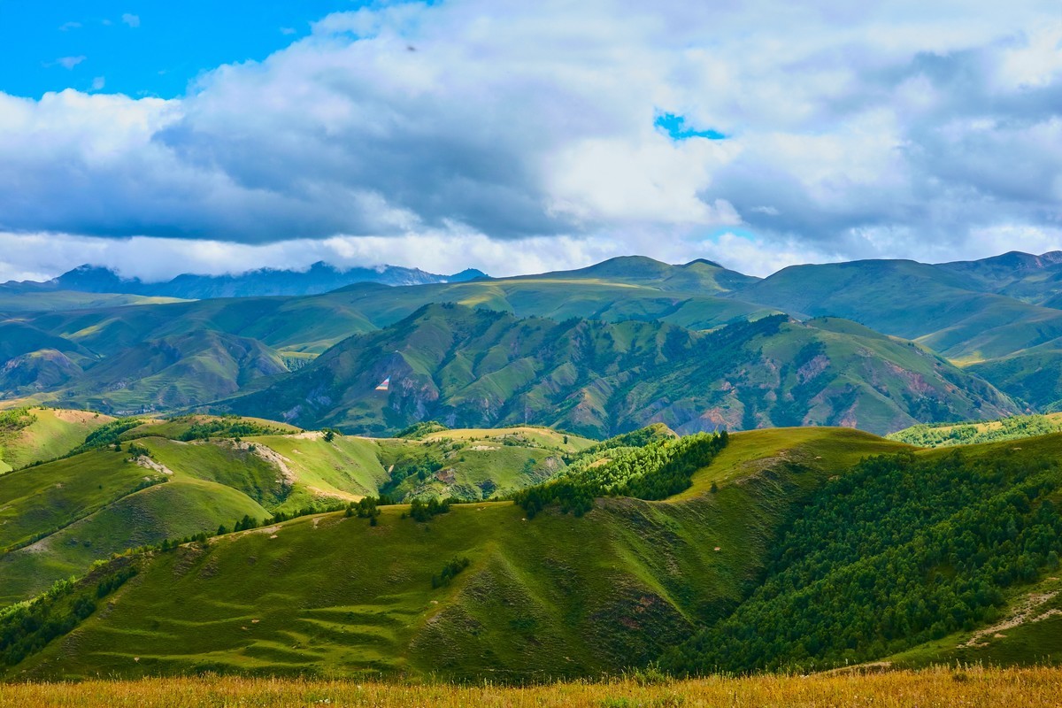 夏末秋初的八美