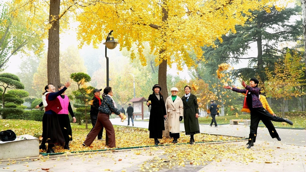 裕西遛弯儿，随见随拍