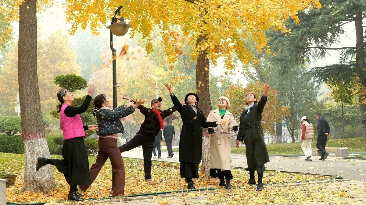 裕西遛弯儿，随见随拍