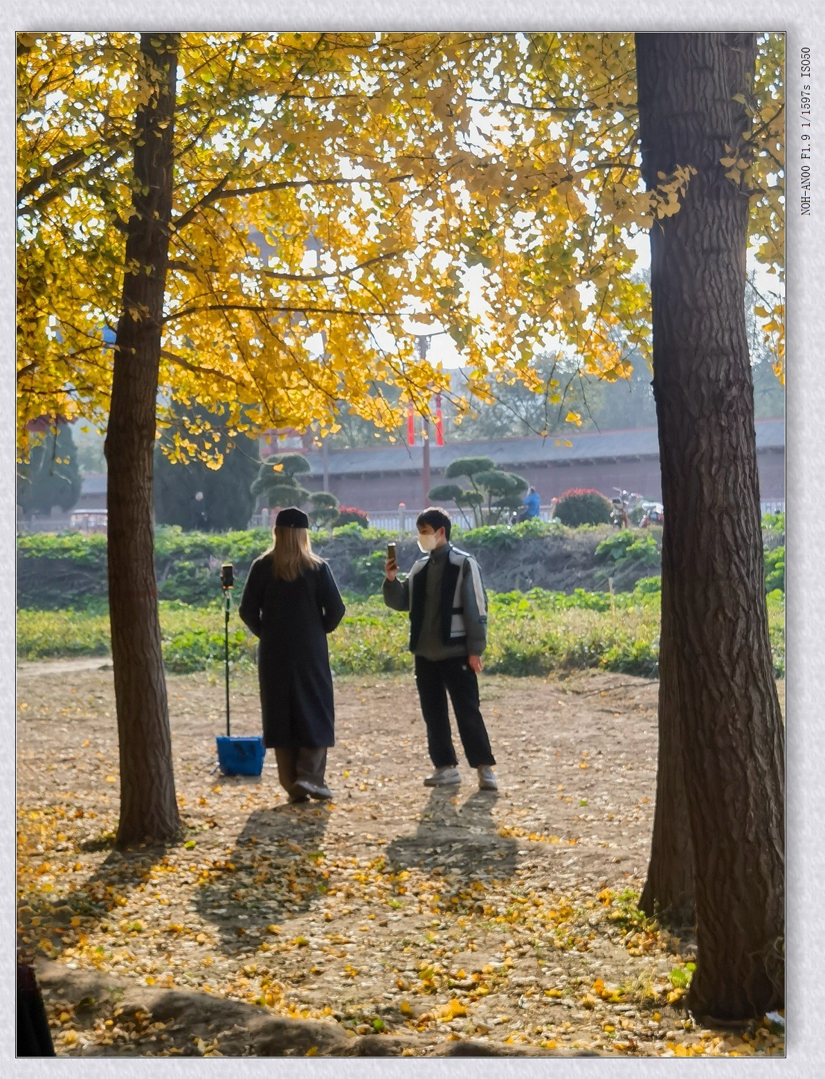 热闹的小树林【2024-169】