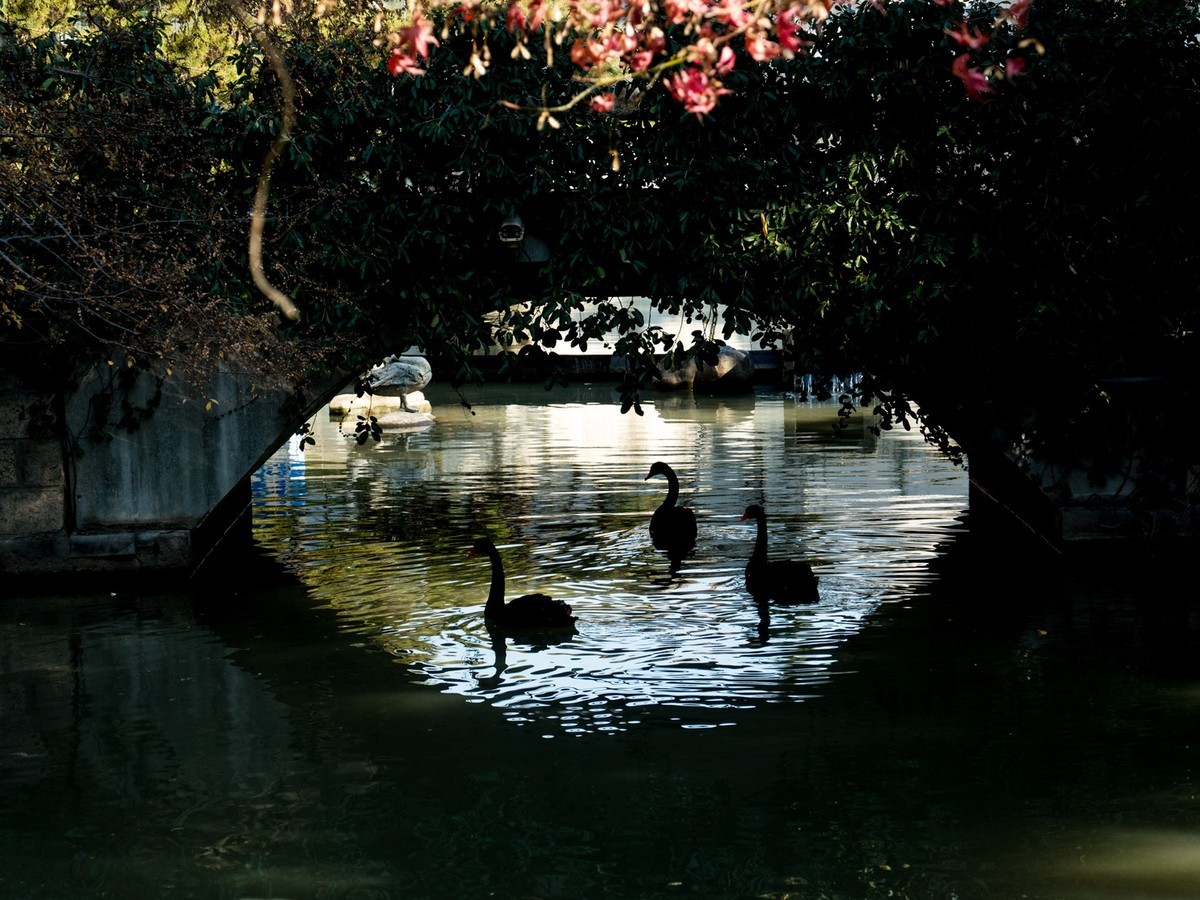 得丘礼享谷（1）