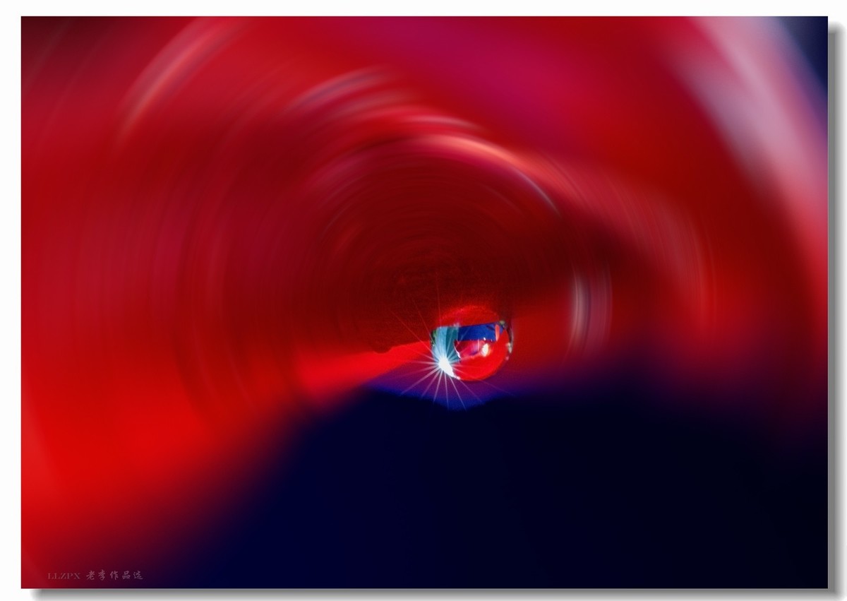 家里的蟹爪兰开花了！