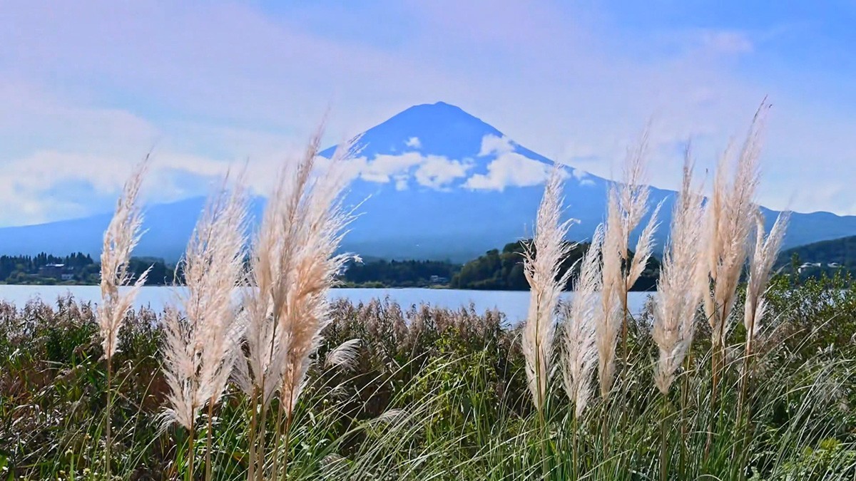 忍野八海与富士山