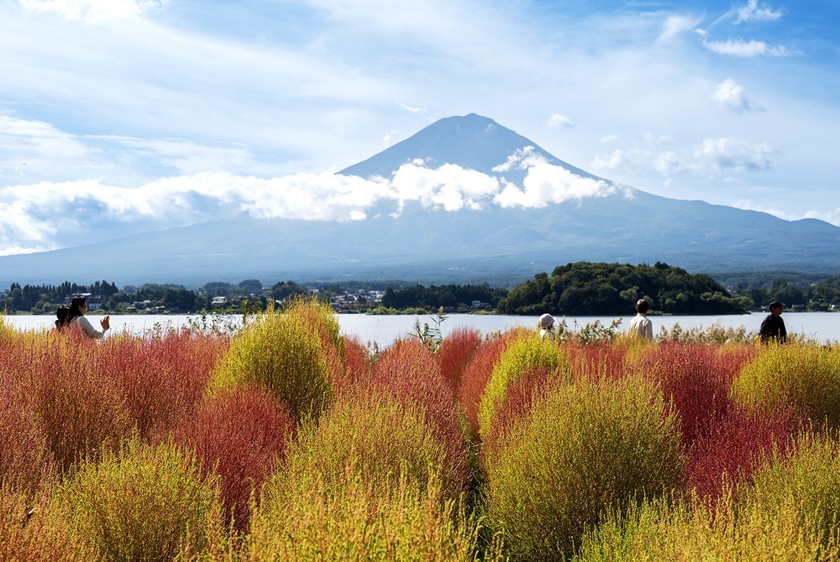 忍野八海与富士山