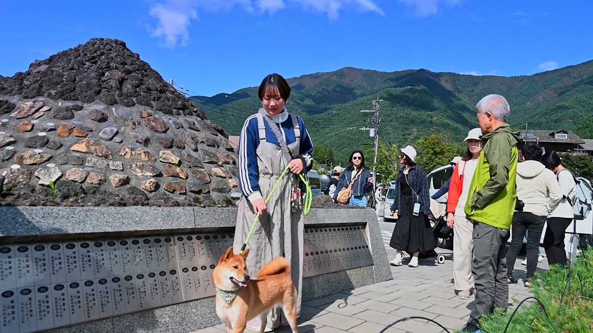 忍野八海与富士山