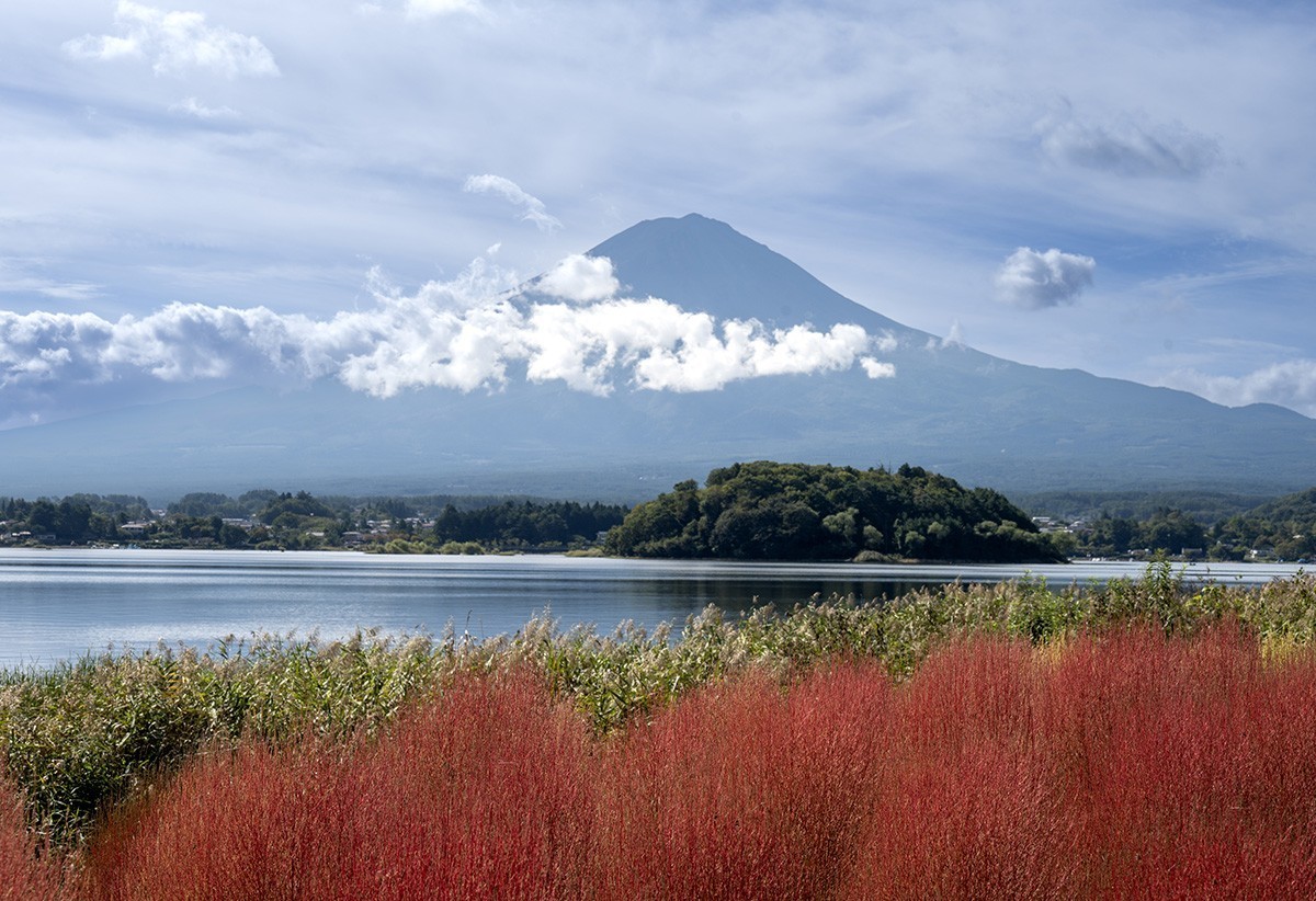 忍野八海与富士山