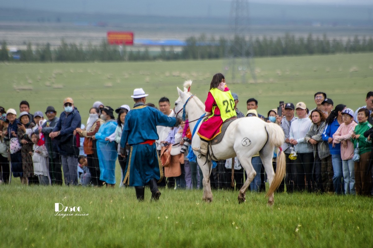 少年赛马手（4）