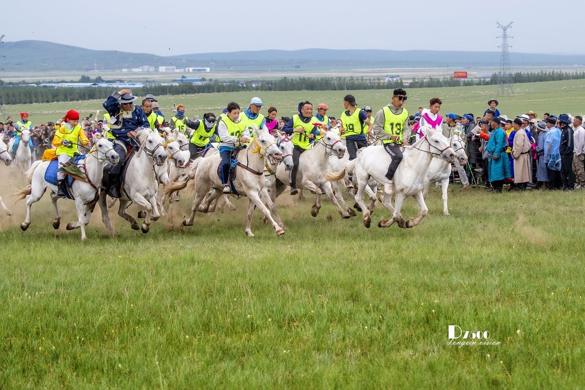 少年赛马手（4）