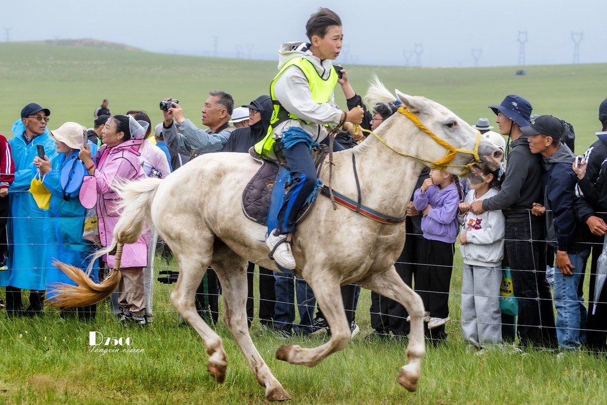 少年赛马手（4）