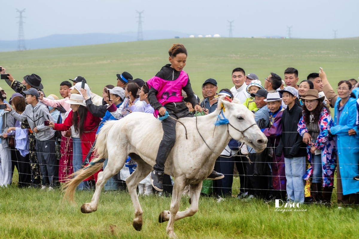 少年赛马手（4）