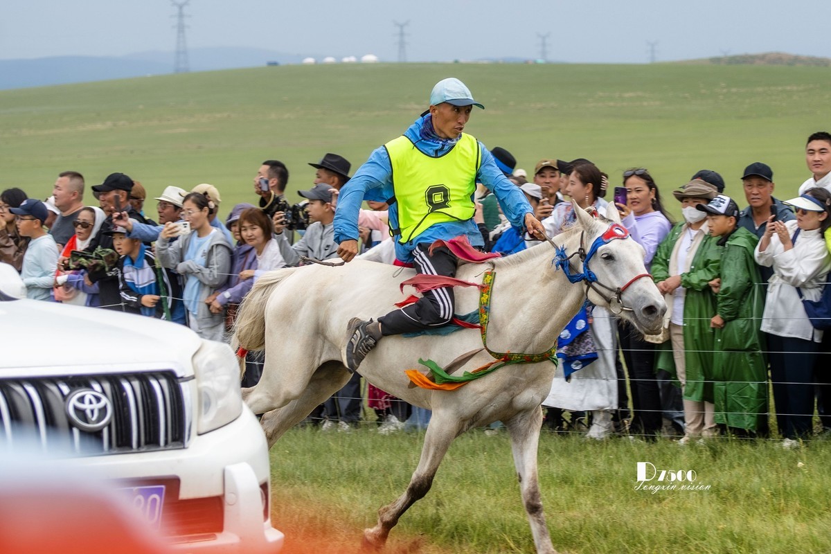 少年赛马手（4）