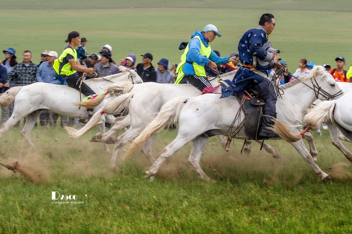少年赛马手（4）