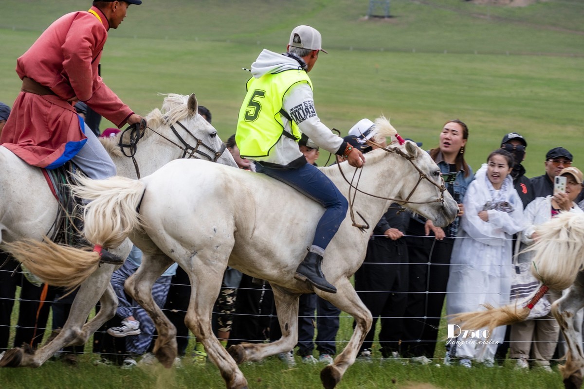 少年赛马手（4）
