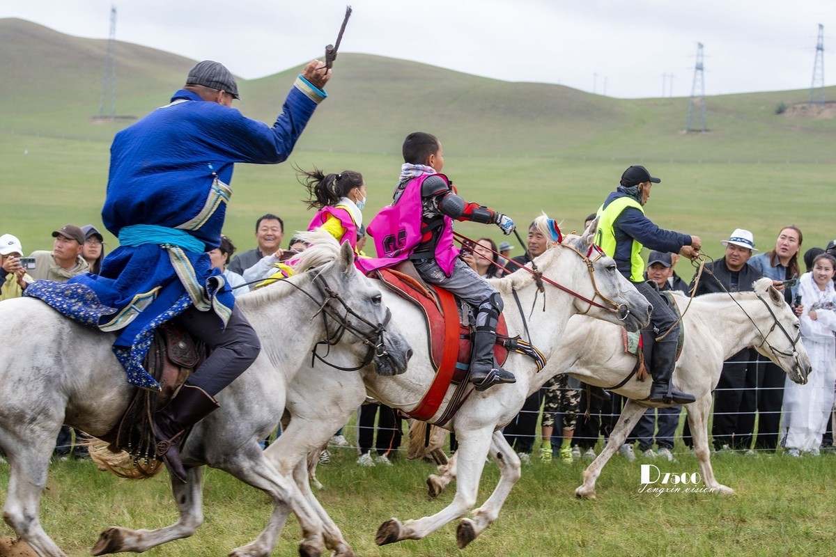 少年赛马手（4）