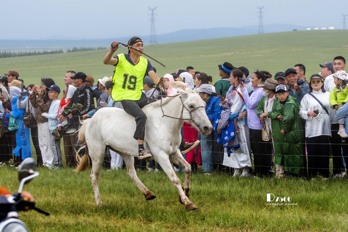 少年赛马手（4）