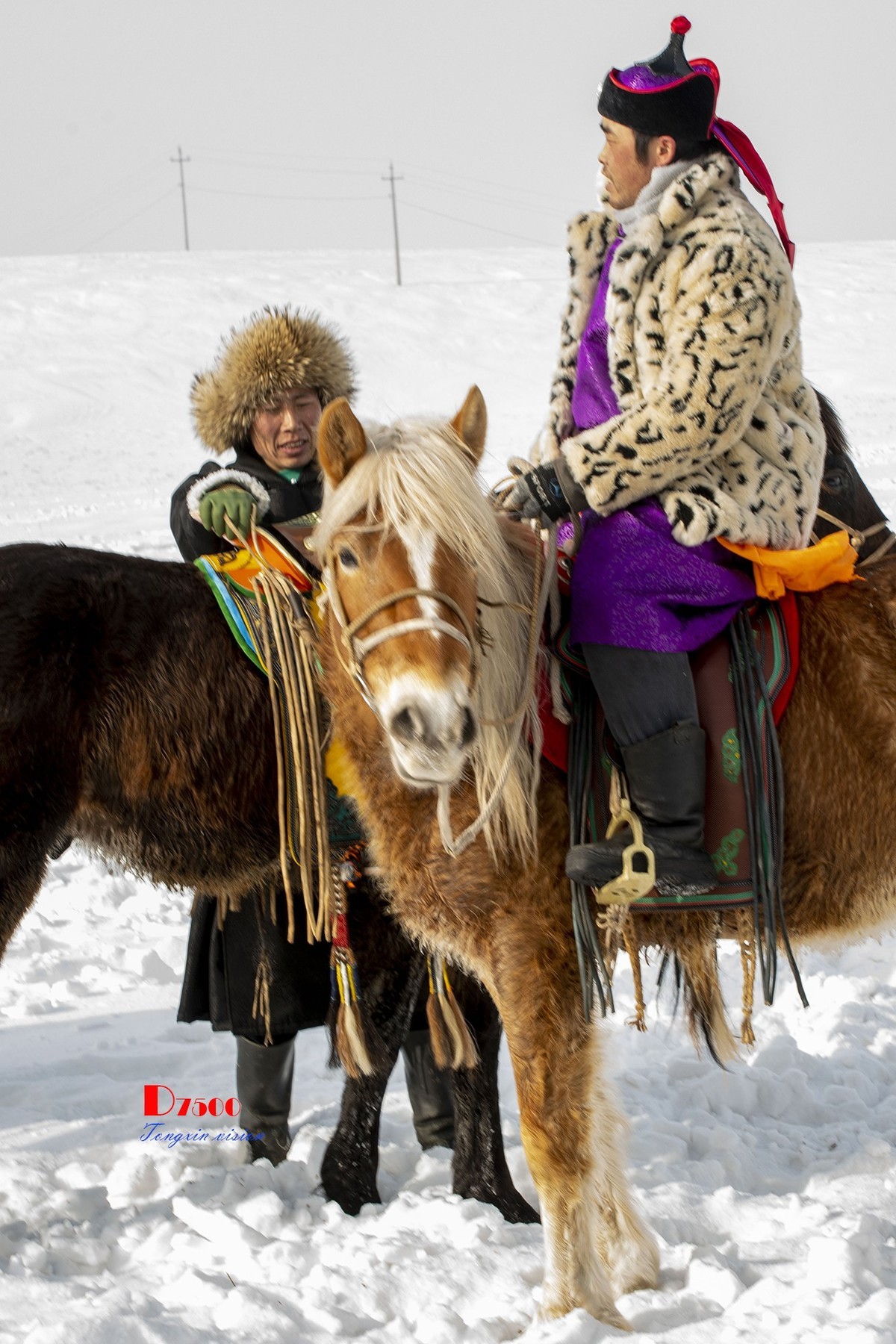 强健&靓丽的牧马人（33）