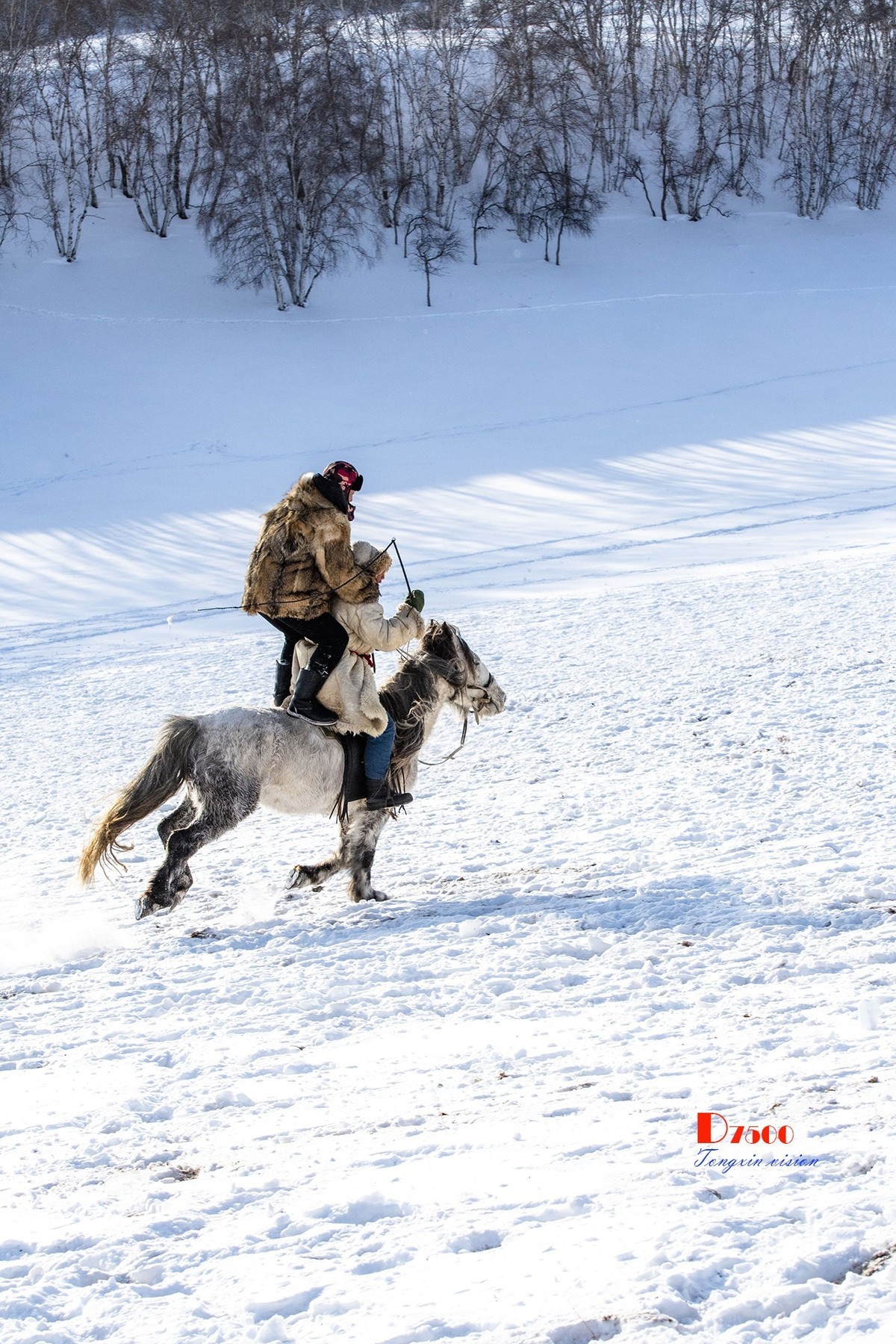 强健&靓丽的牧马人（33）
